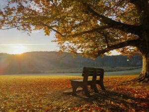 Mindful Breaks You Can Take in Five Minutes to Boost Your Day